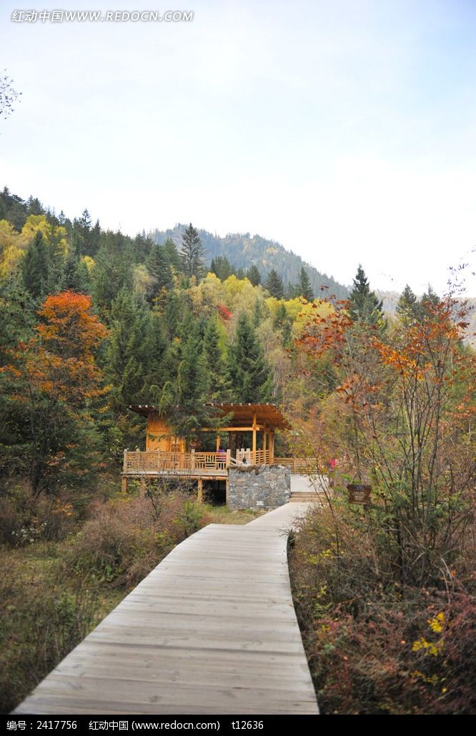 ��կ����ɫ�µ���վͼƬ