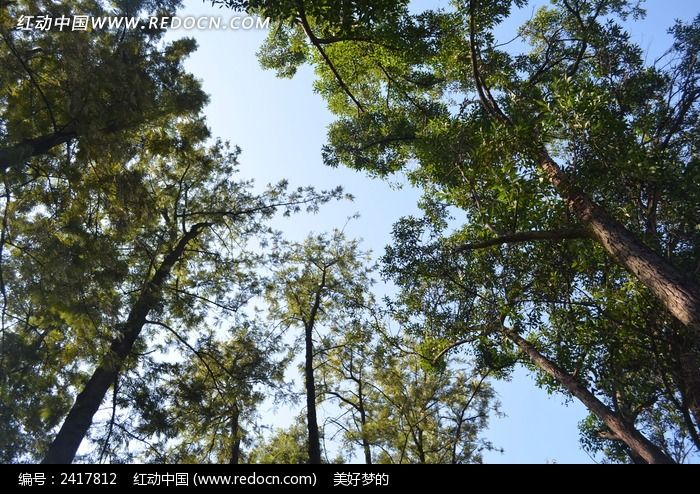 ��԰�ߴ������ͼƬ