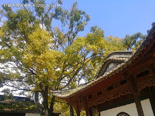 �����е���