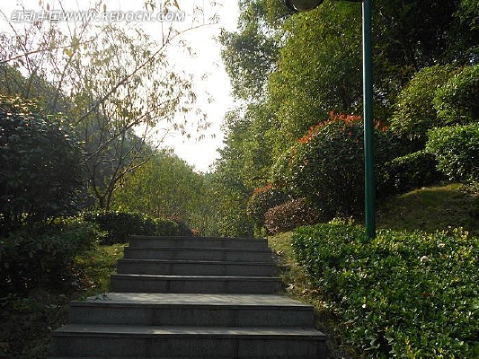 ����С��