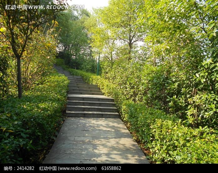 ����С·ͼƬ