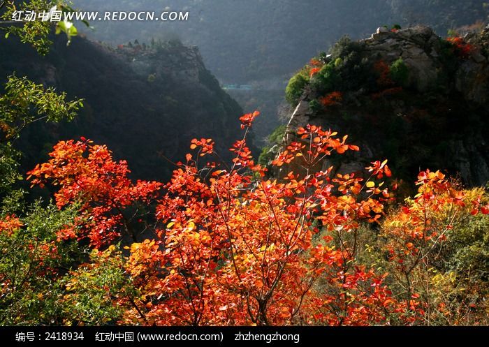 �����ҶɽˮͼƬ