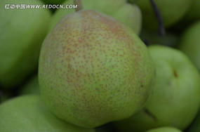 ��ɫ����