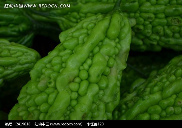 ��Ͻ���ͼƬ