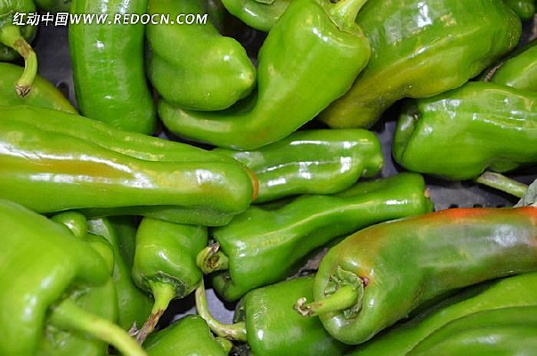 ��ɫ���ཷ