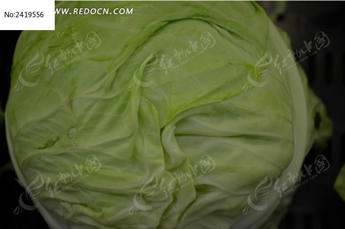 ���˽���ͼƬ