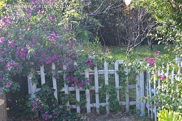 դ����ɫ����