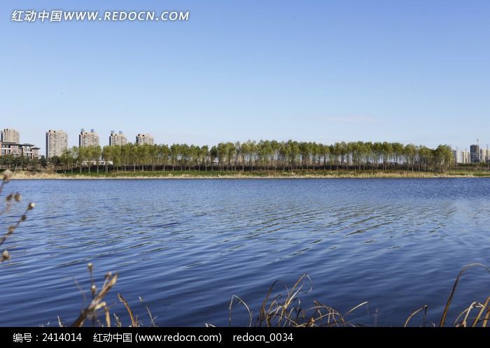 ������ľ����ͼƬ