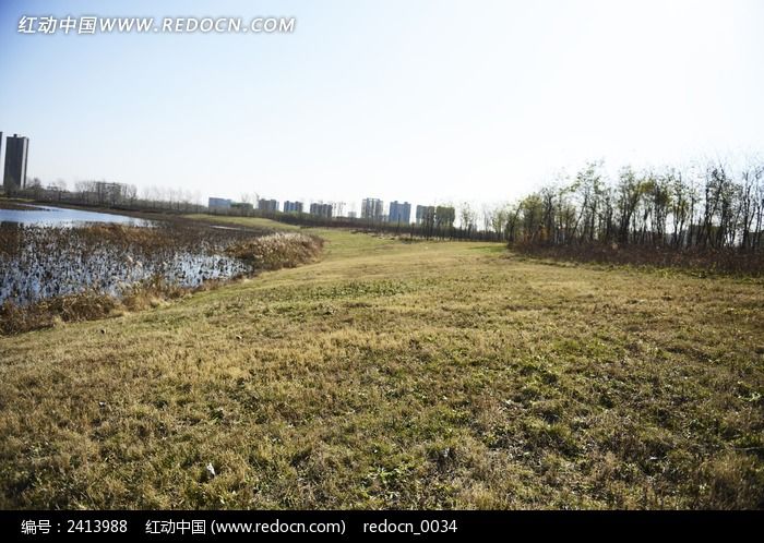 ��԰�ݴԾ���ͼƬ