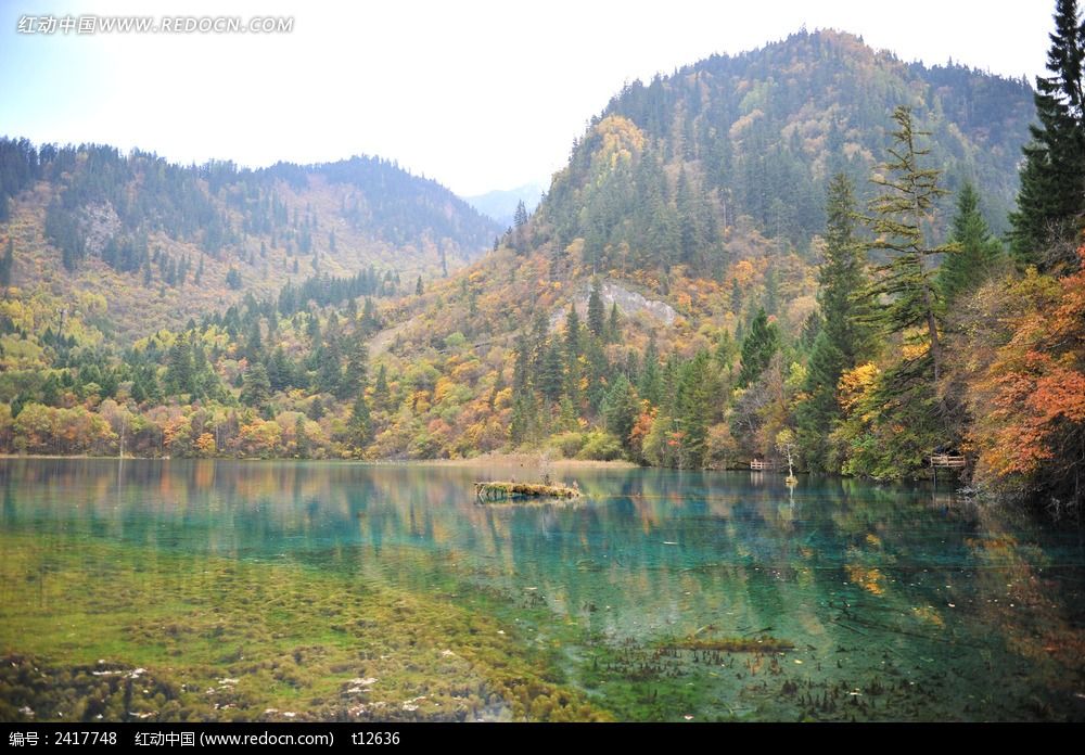 ��կ���ͻ�����廨��ͼƬ