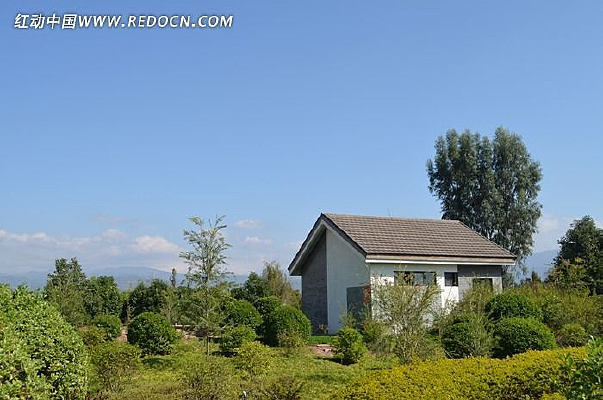 Ψ���ķ���