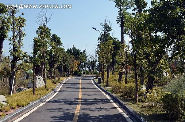 ��·�Ե�����