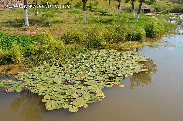 ����һ��