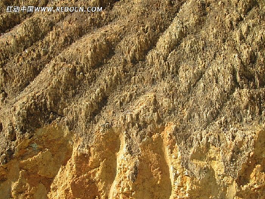 ��ɫ����