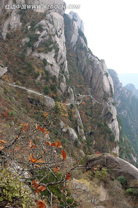 �ٲ�����