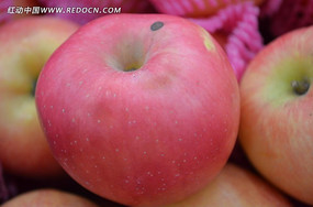 ��ɫˮ����Ƭ