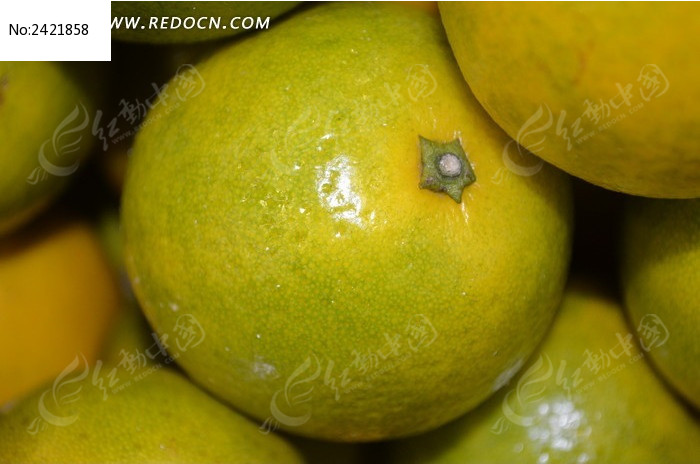 ��ɫ���ӽ���ͼƬ