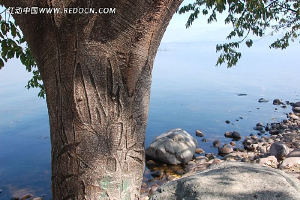 ���±���