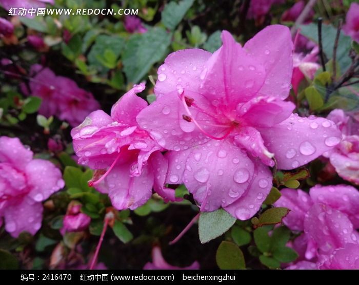 մ��ˮ��Ļ���ͼƬ