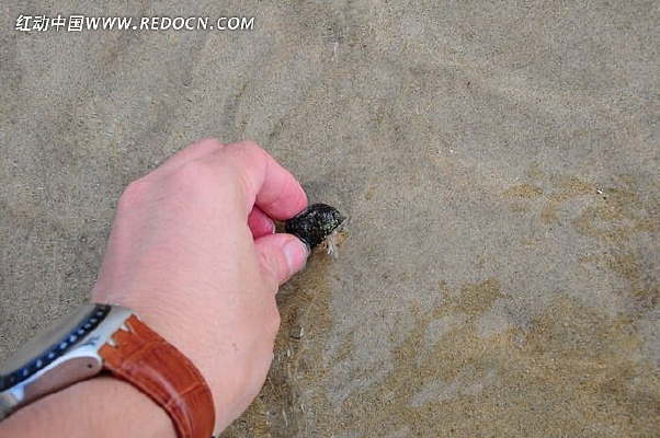 �ľ�з����