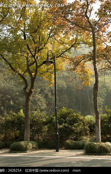 ��������·��������ͼƬ