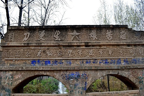 ���ɵĺ�����