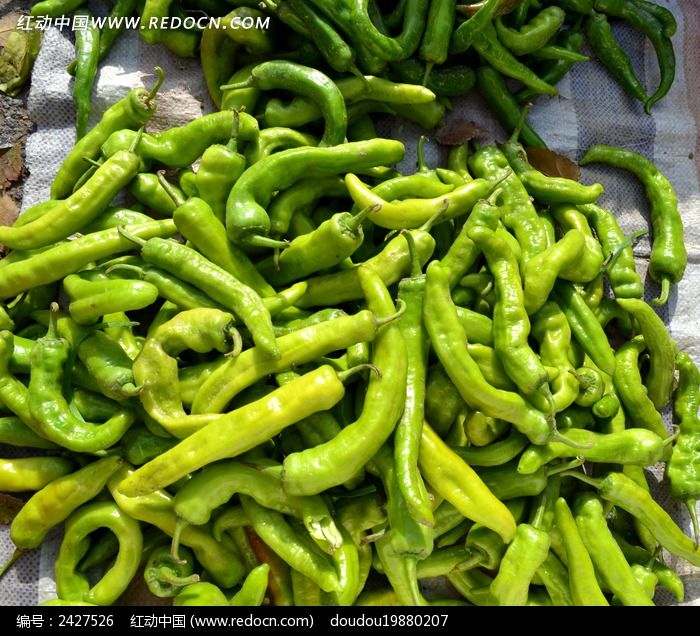 一堆细青椒
