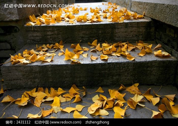 �＾���ҶͼƬ