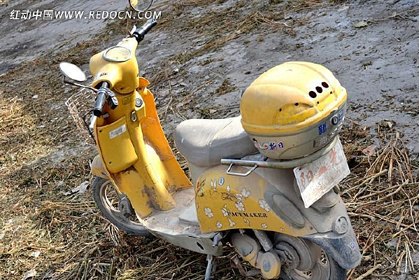 ��ɫ����