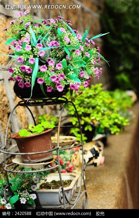 ��԰��Ļ�������ͼƬ