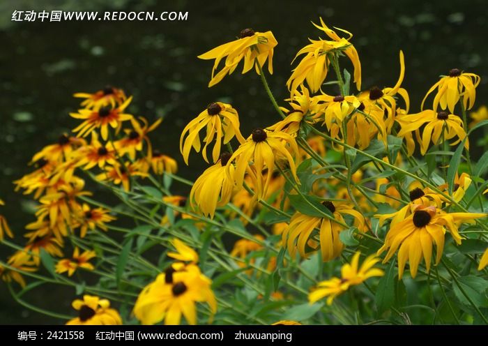 ���Ľ��ջ���ͼƬ