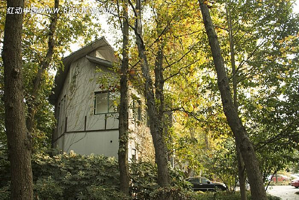 ������İ׷���