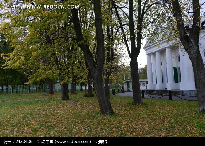 �����òͼƬ