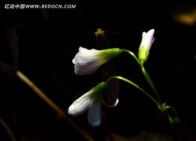 �����ݻ�