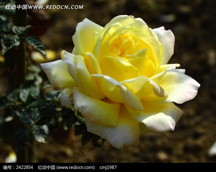 ���д��Ƶ��¼���ͼƬ