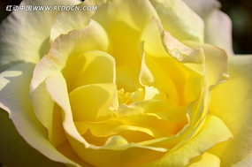 ���д���Ļ���