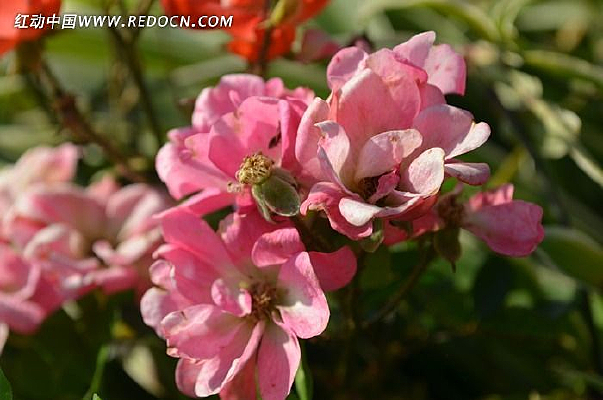 ���˺���