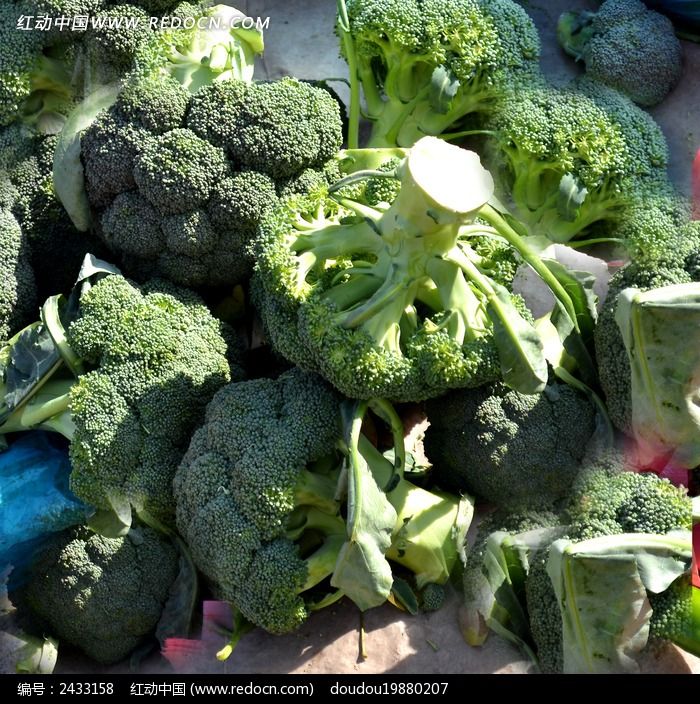 ���ʵ�������ͼƬ