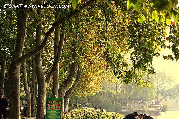 �ߴ����ͩ��