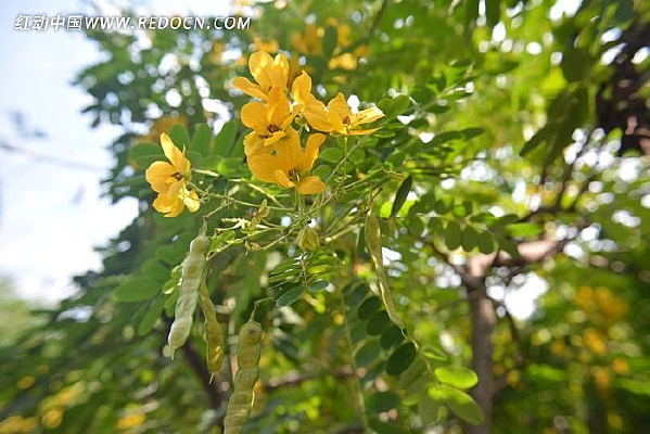 �ƻ�����д