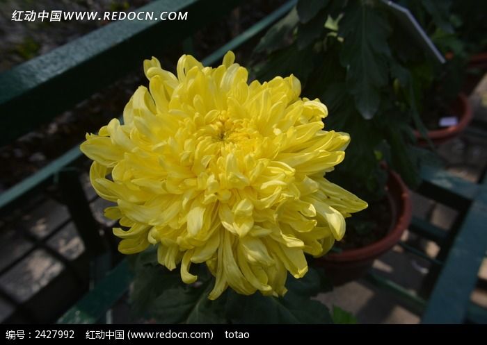 �����а�Ʒ�־�ͼƬ