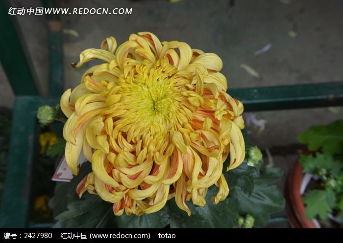 ����Ʒ�־�ͼƬ