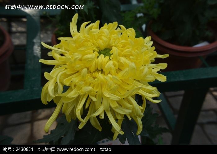 ������ɫƷ�־�ͼƬ