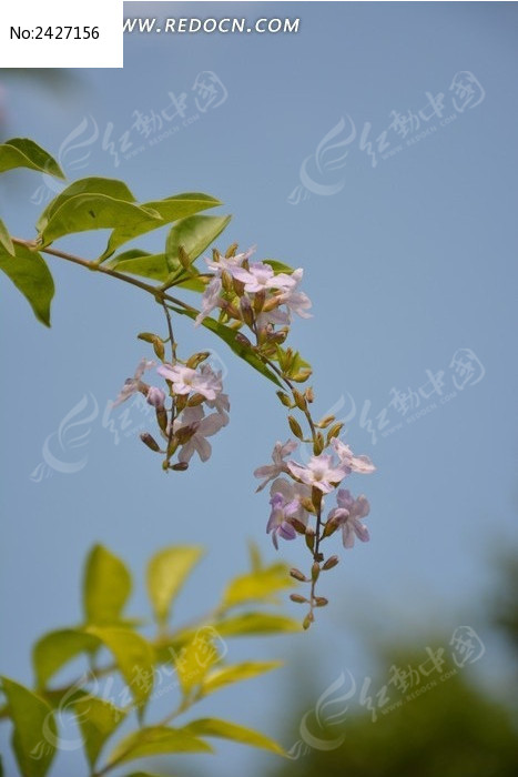 �����������дͼƬ