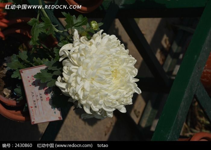 �Ĳ���Ʒ�־�ͼƬ