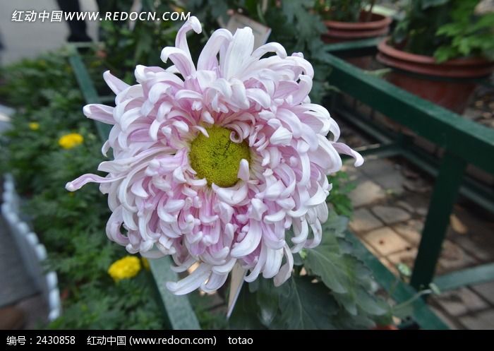 ��ʩͼƷ�־�ͼƬ