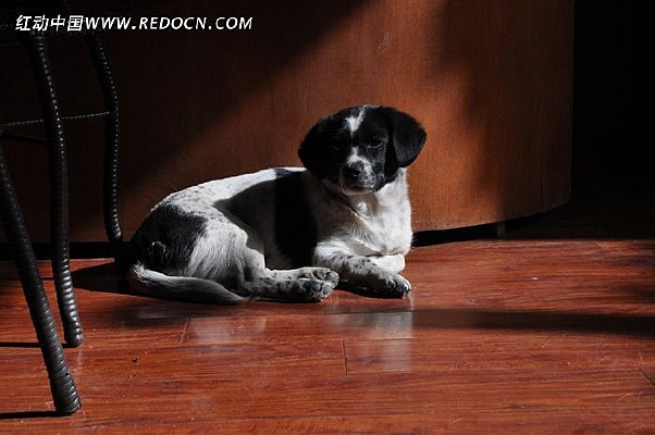 ſ�ڵذ��ϵĹ���