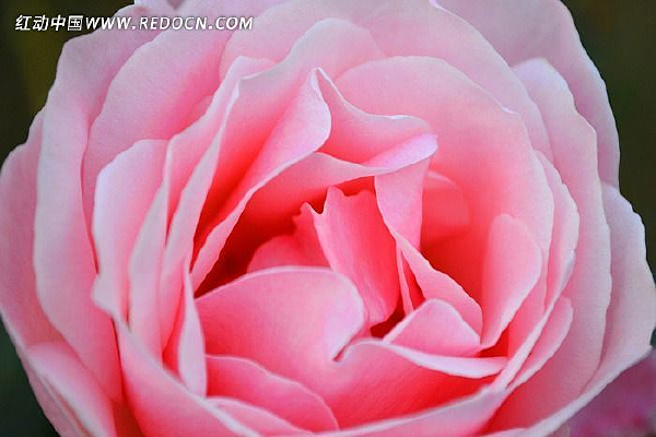 ��ɫ�¼�����