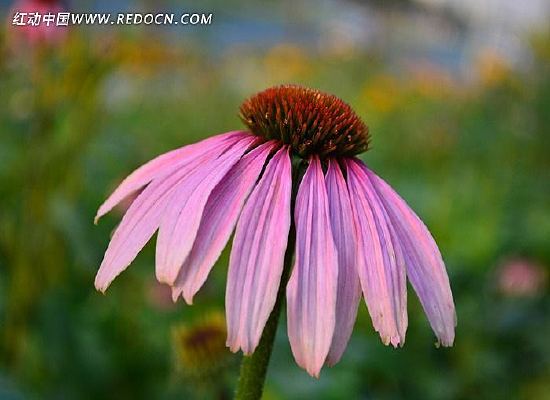 �ɹ�����