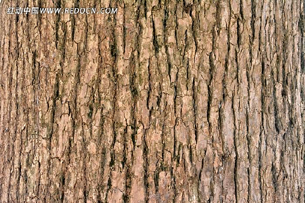 ��ͩ����